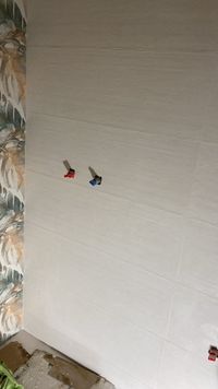 image 2025-01-16 at 11.26.28 (1)