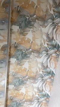 Image 2025-01-16 at 11.26.28